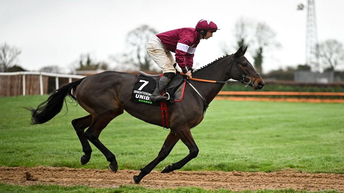Gordon Elliott's Brighterdaysahead